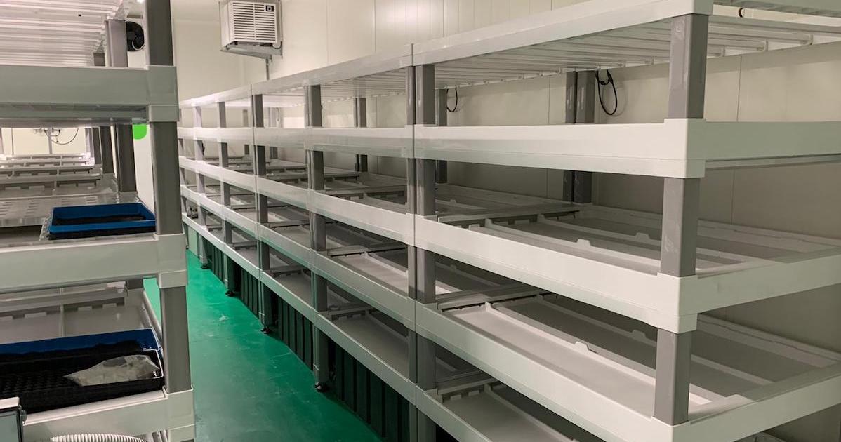 Vertical FARM, innovazione per l'agricoltura e l'agroalimentare