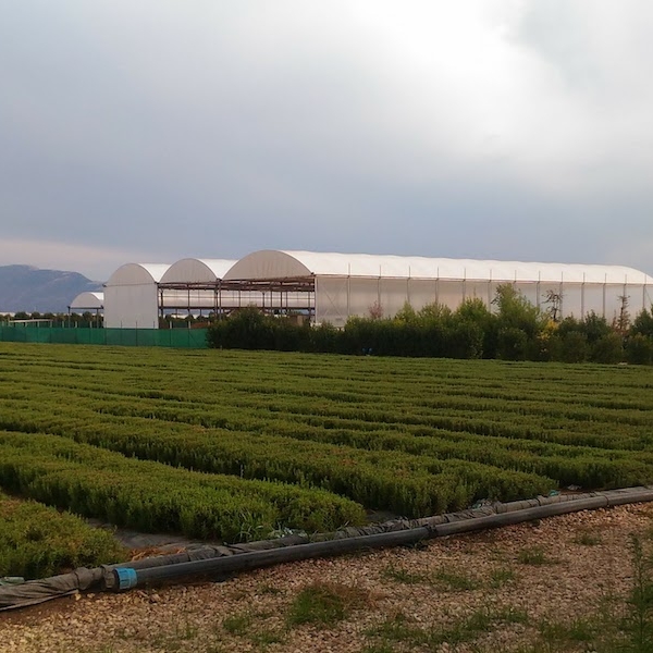 Impianto Compostaggio Agricolo